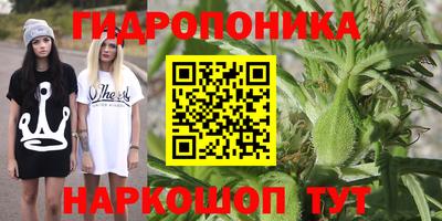 спиды Гулькевичи