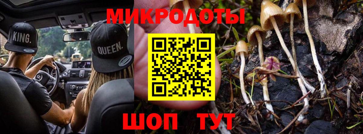 Сунжа  Галлюциногенные грибы мицелий  Вход с VPN 