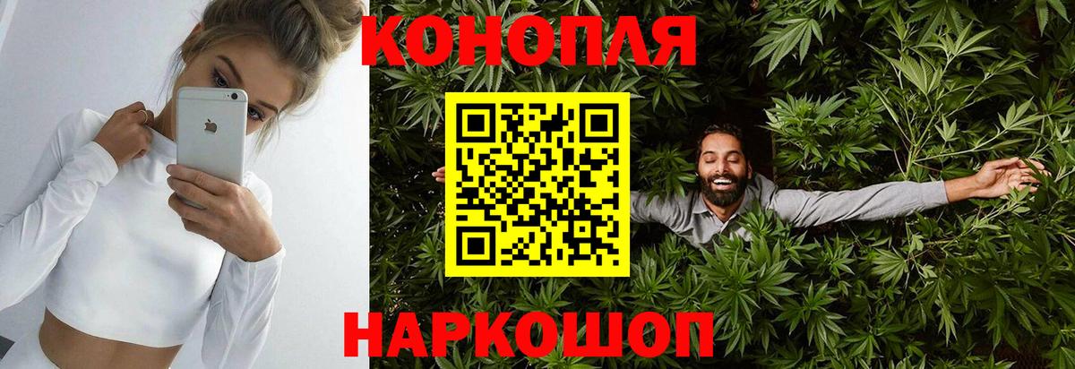Конопля Amnesia Сунжа